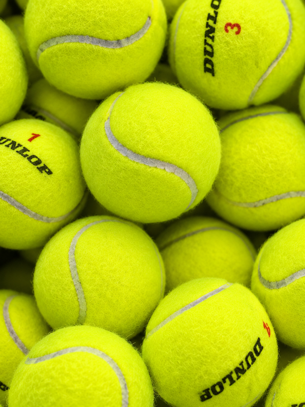 Court Dome — indoor tennis at The Domes Armonk